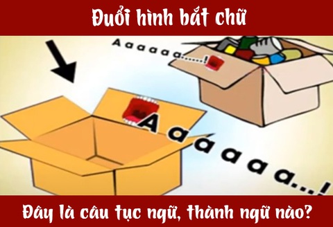 IQ cao có đoán được đây là câu tục ngữ, thành ngữ gì? (P65)- Ảnh 3. IQ cao có đoán được đây là câu tục ngữ, thành ngữ gì? (P65)- Ảnh 3.