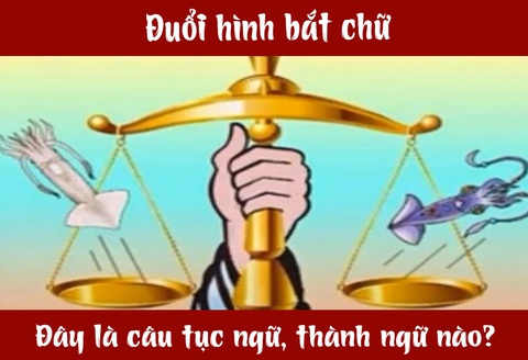 IQ cao có đoán được đây là câu tục ngữ, thành ngữ gì? (P66)- Ảnh 3. IQ cao có đoán được đây là câu tục ngữ, thành ngữ gì? (P66)- Ảnh 3.