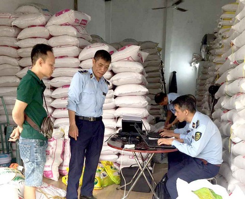Giả mạo nhãn hiệu gạo ST25 của ông Hồ Quang Cua bán tràn lan- Ảnh 1. Lực lượng quản lý thị trường kiểm tra đột xuất các cơ sở kinh doanh gạo ST25 giả - Ảnh: