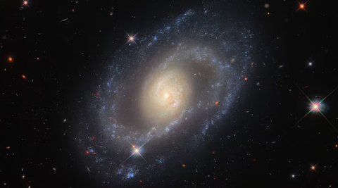 This image from the Hubble Space Telescope features the spiral galaxy Markarian 1337, which is roughly 120 million light-years away from Earth. In 2006, astronomers saw a certain kind of supernova explode in this galaxy, providing researchers with some of the data needed to determine the universe’s current rate of expansion. IMAGE BY ESA/HUBBLE & NASA, A. RIESS ET AL. Hình ảnh từ kính viễn vọng Hubble cho thấy thiên hà xoắn ốc Markarian 1337, cách Trái đất khoảng 120 triệu năm ánh sáng. Năm 2006, các nhà thiên văn học đã chứng kiến một loại siêu tân tinh phát nổ trong thiên hà này, cung cấp cho các nhà nghiên cứu một số dữ liệu cần thiết để xác định tốc độ giãn nở hiện tại của vũ trụ - Ảnh: ESA/HUBBLE & NASA