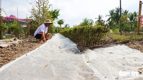 Sạt lở U Minh Thượng: Mở 16 đường tạm, hỗ trợ tiền cho dân di dời- Ảnh 3. Ông Nguyễn Văn Sự (xã An Minh Bắc, huyện U Minh Thượng) lót lưới, đổ đá, mở đường tạm cho học sinh đi học - Ảnh: CHÍ CÔNG
