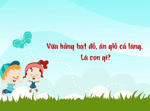 Câu đố hack não: Con gì vừa bằng hạt đỗ, ăn giỗ cả làng?- Ảnh 1. Câu đố hack não: Con gì vừa bằng hạt đỗ, ăn giỗ cả làng?- Ảnh 1.