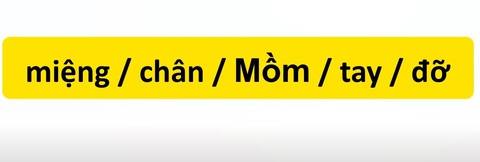 Thử tài tiếng Việt: Sắp xếp các từ sau thành câu có nghĩa (P55)- Ảnh 3. Thử tài tiếng Việt: Sắp xếp các từ sau thành câu có nghĩa (P55)- Ảnh 3.