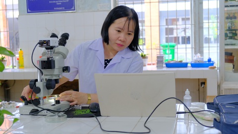 Nữ tiến sĩ mê nghiên cứu côn trùng, chỉ bà con làm nông nghiệp xanh- Ảnh 1. Tiến sĩ Nguyễn Thị Oanh say mê nghiên cứu côn trùng học nhằm tìm ra thiên địch bảo vệ nông sản và cây trồng - Ảnh: ĐẶNG TUYẾT