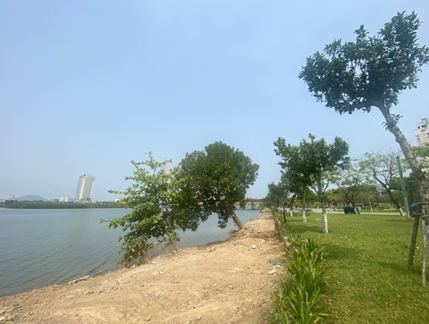 Đã xúc lớp giá hạ đổ trên nền đất cũ ngoài bờ kè sông Hàn- Ảnh 2. Đã xúc lớp giá hạ đổ trên nền đất cũ ngoài bờ kè sông Hàn- Ảnh 2.