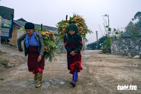 Bản Lao Xa (Hà Giang) - Ảnh: NAM TRẦN Nhịp sống bình yên ở làng cổ trên cao nguyên đá