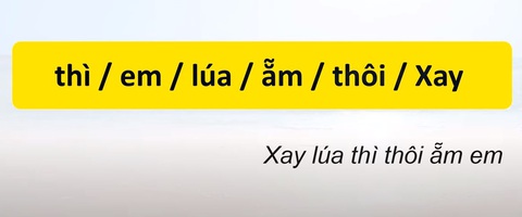 Thử tài tiếng Việt: Sắp xếp các từ sau thành câu có nghĩa (P57)- Ảnh 2. Thử tài tiếng Việt: Sắp xếp các từ sau thành câu có nghĩa (P57)- Ảnh 2.