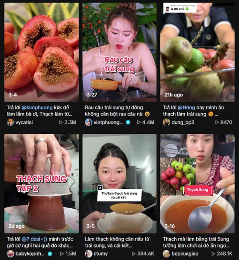 Rào ngay lại mấy cây sung kẻo 'tới công chuyện' vì thạch sung!- Ảnh 1. Mấy chị em TikToker đua nhau làm thạch sung trong suốt tháng 3. (Ảnh chụp màn hình)