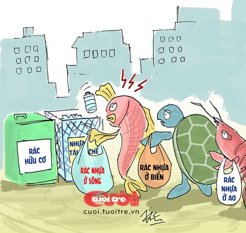 Thủy hải sản ngoi lên bờ vì 'lạm phát' rác thải trên hòn đảo ngọc- Ảnh 1. Thủy sản, hải sản phải ngoi lên bờ vì
