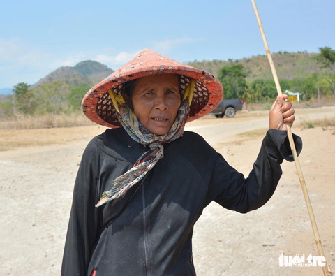 Vùng dự án hồ Ka Pét mùa nắng khát- Ảnh 2. Cụ bà người Rai đang chăn thả dê ở xã Hàm Cần chia sẻ mùa nắng năm nay đến sớm, nhiều sông suối đã cạn trơ đáy