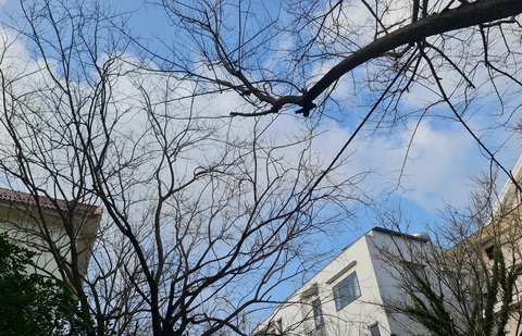 Người trẻ càng giỏi càng mong manh, đừng cợt nhả khi họ muốn chữa lành- Ảnh 5. Cùng một góc trời nhưng mỗi người nhìn thấy một khung cảnh khác nhau, nên đừng bao giờ
