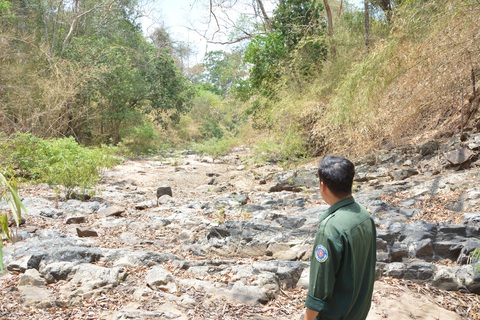 Chưa thông qua báo cáo đánh giá tác động môi trường dự án hồ Ka Pét- Ảnh 1. Khu vực lòng sông Bà Bích ở rừng Mỹ Thạnh, huyện Hàm Thuận Nam, tỉnh Bình Thuận vào mùa khô cạn trơ đáy. Nơi đây dự kiến sẽ chặn dòng làm hồ chứa nước Ka Pét - Ảnh: ĐỨC TRONG