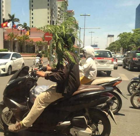 'Học lóm' muôn kiểu trốn nóng 40 độ C bá đạo- Ảnh 5. Phong cách trốn nóng thân thiện với thiên nhiên.
