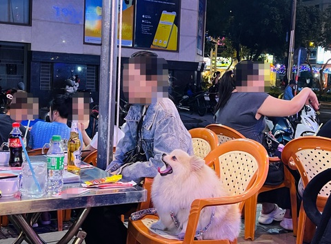 Tranh luận gay gắt chuyện đưa chó, mèo vào quán xá- Ảnh 1. Đem chó vào quán ăn là chuyện thường thấy tại TP.HCM - Ảnh: BẠCH VÂN
