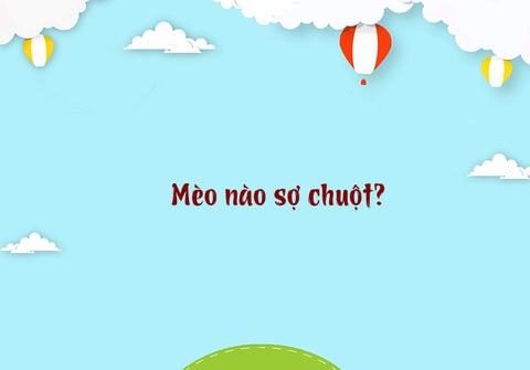 Câu đố hack não: Từ nào tất cả người Việt đều phát âm sai?- Ảnh 3. Câu đố hack não: Từ nào tất cả người Việt đều phát âm sai?- Ảnh 3.