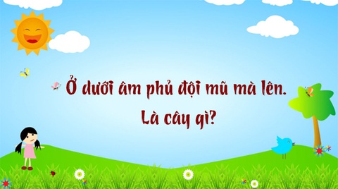 Câu đố hack não: Đi nhăn răng, về cũng nhăn răng- Ảnh 5. Câu đố hack não: Đi nhăn răng, về cũng nhăn răng- Ảnh 5.