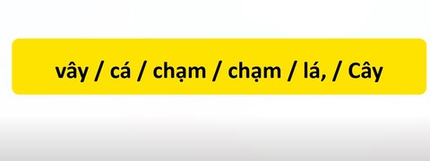 Thử tài tiếng Việt: Sắp xếp các từ sau thành câu có nghĩa (P81)- Ảnh 3. Thử tài tiếng Việt: Sắp xếp các từ sau thành câu có nghĩa (P81)- Ảnh 3.