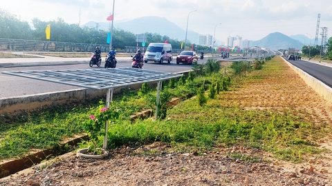 Nha Trang đầu tư gần 15 tỉ đồng trồng cây xanh tại dự án BT dang dở của Tập đoàn Phúc Sơn- Ảnh 5. Một đoạn dải phân cách giữa nhánh phía nam dự án BT đường vành đai 2 của Công ty CP Tập đoàn Phúc Sơn vừa được TP Nha Trang đầu tư trồng cỏ, cây cảnh, hoa giấy và lắp đặt các giàn hoa - Ảnh: PHAN SÔNG NGÂN