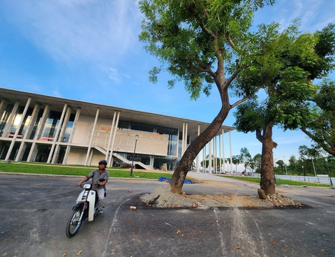 Hàng cây xà cừ to hơn một người ôm trước cổng Trung tâm Hội nghị triển lãm tỉnh Quảng Ngãi được trồng hơn 20 năm trước được giữ lại nguyên vẹn - Ảnh: TRẦN MAI Hàng cây xà cừ to hơn một người ôm trước cổng Trung tâm Hội nghị triển lãm tỉnh Quảng Ngãi được trồng hơn 20 năm trước được giữ lại nguyên vẹn - Ảnh: TRẦN MAI