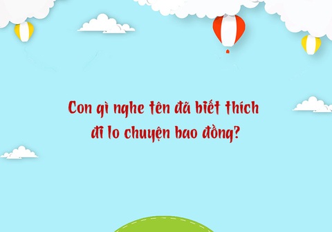 Câu đố hack não: Con gì luôn gây tai họa cho người?- Ảnh 3. Câu đố hack não: Con gì luôn gây tai họa cho người?- Ảnh 3.