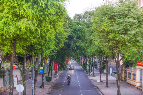Thương nhớ những hàng cây- Ảnh 1. Ở đô thị, cây xanh gắn liền với các tuyến đường tạo ra mảng xanh để cân bằng cảnh quan với những khối gạch đá bê tông kính thép, điều hòa không khí. Trong ảnh: Cây xanh trên đường Lý Tự Trọng, quận 1 - Ảnh: QUANG ĐỊNH