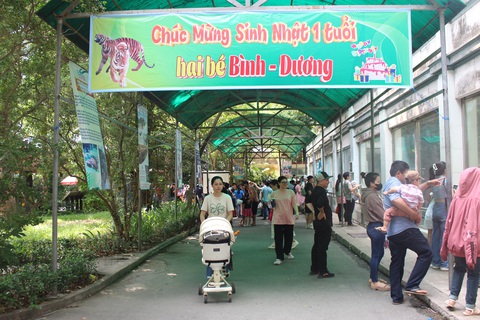 Thôi nôi 2 hổ Bengal Bình và Dương ở Thảo cầm viên Sài Gòn- Ảnh 11. Thảo cầm viên Sài Gòn tổ chức buổi lễ sinh nhật 1 tuổi cho 2 bé Bình - Dương thu hút đông đảo mọi người tham gia - Ảnh: NGỌC NHI
