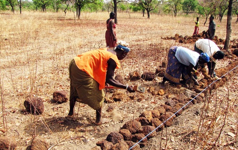 Bờ đá giữ ẩm cho đất tại Burkina Faso - Ảnh: farmerspost.wordpress.com Bờ đá giữ ẩm cho đất tại Burkina Faso - Ảnh: farmerspost.wordpress.com