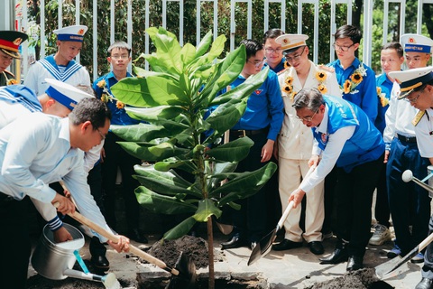 TP.HCM tuyên dương 263 thanh niên tiên tiến làm theo lời Bác- Ảnh 4. Các đại biểu dự đại hội cùng đại diện lãnh đạo TP.HCM trồng cây bàng vuông do cán bộ, chiến sĩ Trường Sa gửi tặng tại trụ sở Thành Đoàn TP.HCM (quận 1) sau đại hội - Ảnh: THANH HIỆP