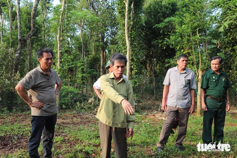 Khai quật địa đạo tìm hài cốt sau 57 năm bị bom Mỹ đánh sập- Ảnh 2. Ông Bùi Quang Hóa kể lại vị trí địa đạo bị đánh sập năm xưa - Ảnh: HOÀNG TÁO
