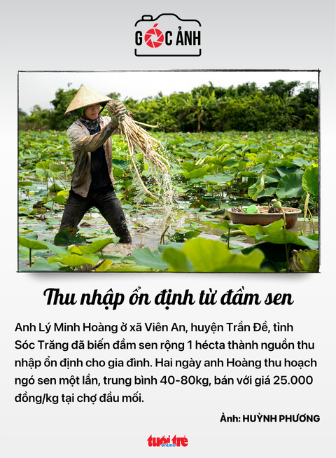 Tin tức sáng 14-5: Công bố tỉ lệ 'chọi' vào lớp 10 ở TP.HCM; Đông Nam Bộ đối mặt 4 đợt triều cao- Ảnh 8. Tin tức sáng 14-5: Công bố tỉ lệ 'chọi' vào lớp 10 ở TP.HCM; Đông Nam Bộ đối mặt 4 đợt triều cao- Ảnh 8.