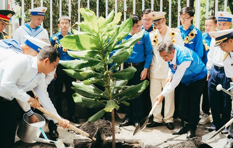 Đại diện lãnh đạo TP.HCM cùng các đại biểu thanh niên tiên tiến trồng cây bàng vuông trong khuôn viên cơ quan Thành Đoàn TP.HCM - Ảnh: THANH HIỆP Đại diện lãnh đạo TP.HCM cùng các đại biểu thanh niên tiên tiến trồng cây bàng vuông trong khuôn viên cơ quan Thành Đoàn TP.HCM - Ảnh: THANH HIỆP
