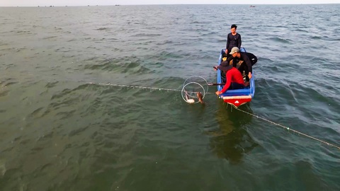 Câu kiều không cần mồi kiếm tiền triệu của người dân ven biển Cà Mau- Ảnh 6. Thả ngay bầy cá thì mỗi dây câu dính hàng chục ký là chuyện thường ngày - Ảnh: THANH HUYỀN