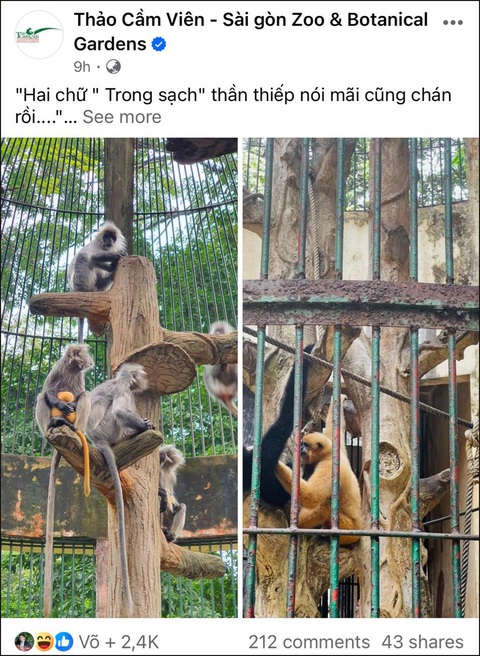'Drama tình ái' ở Sở thú: Đôi khỉ xám sinh ra khỉ con lông vàng- Ảnh 2. Fanpage của Thảo cầm viên Sài Gòn phải lên tiếng