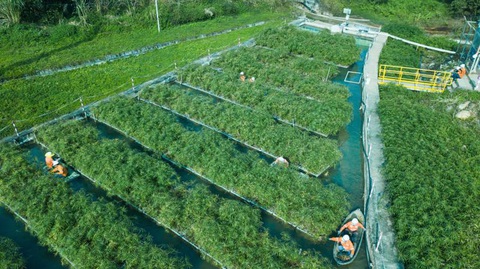 Masan tái cấu trúc mảng khai khoáng, dồn lực cho mảng tiêu dùng bán lẻ- Ảnh 5. Tuân thủ các quy định bảo vệ môi trường, gần 80% tỷ lệ nước được tái sử dụng tại Masan High-Tech Materials