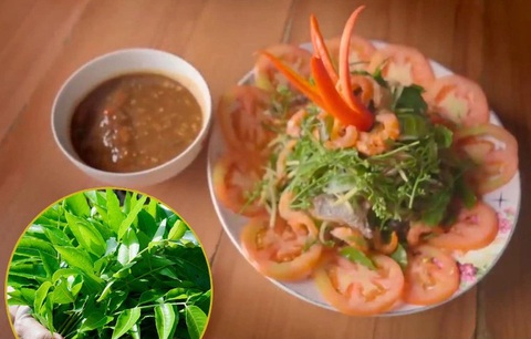 Lá sầu đâu (trái) và đĩa gỏi sầu đâu giới thiệu trong chương trình - Ảnh: AFN Lá sầu đâu (trái) và đĩa gỏi sầu đâu giới thiệu trong chương trình - Ảnh: AFN