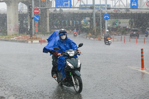 Thời tiết hôm nay 17-5: Nam Bộ mưa to chiều tối, Bắc Bộ bớt mưa- Ảnh 1. Hôm nay 17-5, thời tiết Nam Bộ dự báo tiếp tục mưa - Ảnh: CHÂU TUẤN