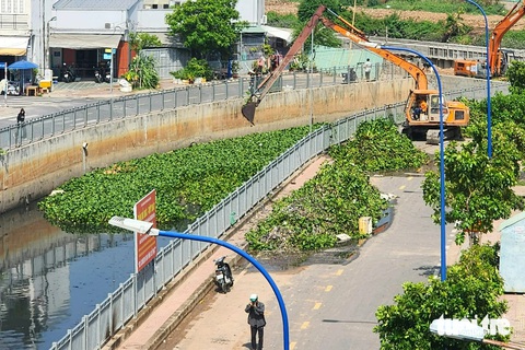 Kênh Nước Đen ngập ngụa rác đã được dọn sạch- Ảnh 6. Góc lục bình cuối cùng đang được máy múc vớt dọn vào sáng 16-5 - Ảnh: NGỌC KHẢI