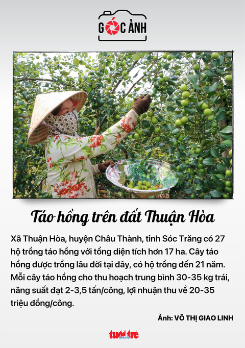 Tin tức sáng 17-5: Hơn 300 dự án giải ngân 0 đồng; Phạt 1 doanh nghiệp liên quan 'Shark' Thủy- Ảnh 8. Tin tức sáng 17-5: Hơn 300 dự án giải ngân 0 đồng; Phạt 1 doanh nghiệp liên quan 'Shark' Thủy- Ảnh 8.