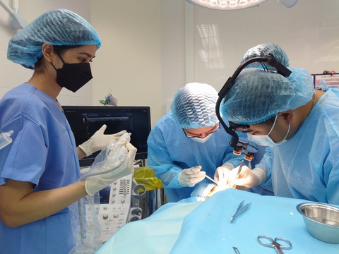 Biến chứng do căng chỉ rất khủng khiếp, là một 'báo động đỏ'- Ảnh 1. Các bác sĩ Bệnh viện Da liễu TP.HCM đang xử lý áp xe cho bệnh nhân sau khi căng chỉ làm đẹp - Ảnh: Bệnh viện cung cấp