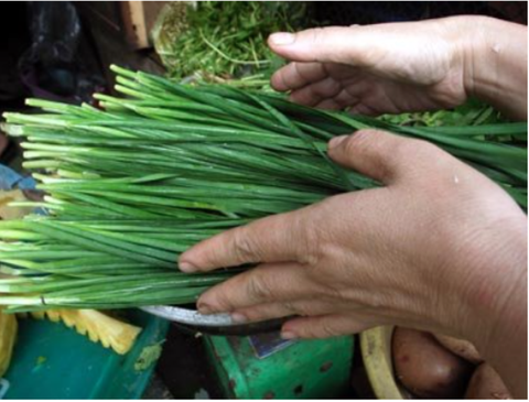 Rau hẹ khởi dương tốt 'chuyện ấy' ở cả quý ông, quý bà- Ảnh 1. Rau hẹ - vị thuốc bổ dương - Ảnh minh họa