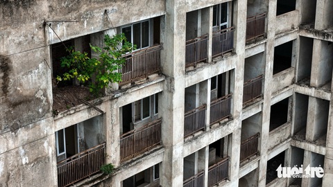 Cảnh hoang tàn tại khu nhà ở học sinh, sinh viên lớn bậc nhất cả nước- Ảnh 1. Nhiều căn hộ tại khu nhà ở cho học sinh, sinh viên Pháp Vân - Tứ Hiệp đang hóa