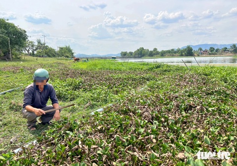 Ống nhựa chôn ngầm từ trại heo, Ống nhựa chôn ngầm từ trại heo,
