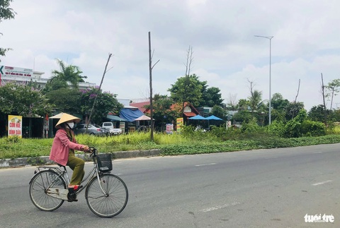 Cây xanh chết khô hàng loạt trên con đường trăm tỉ ở Đà Nẵng- Ảnh 4. Hiện nay, hạng mục cây xanh vẫn chưa được bàn giao cho Công ty Công viên, cây xanh Đà Nẵng - Ảnh: ĐOÀN CƯỜNG