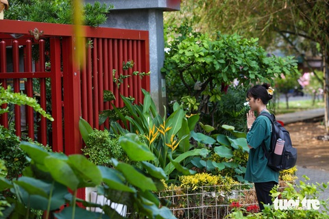 Cờ hoa rực rỡ khắp chùa chiền, đường phố ở TP.HCM dịp lễ Phật đản- Ảnh 8. Lễ Phật đản được tổ chức hằng năm, vào ngày rằm tháng 4 âm lịch, để kỷ niệm ngày Đức Phật ra đời. Đức Phật Thích Ca Mâu Ni xuất thân là Thái tử Tất Đạt Đa, dòng họ Cồ Đàm, vương tộc Thích Ca. Vào ngày lễ, Phật tử thường vinh danh Tam bảo: Phật, Pháp, Tăng (qua các hình thức như dâng cúng, tặng hoa, đến nghe thuyết giảng), và thực hành ăn chay và giữ Ngũ giới, thực hành bố thí và làm việc từ thiện, tặng quà, tiền cho những người yếu thế trong cộng đồng