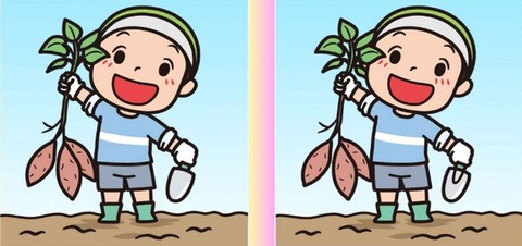 Mắt thần mới thấy con mèo trốn ở đâu- Ảnh 5.