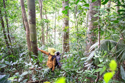 Người chết Nhiều cánh rừng ở vùng cao tỉnh Quảng Trị còn giữ được cây to, giá trị nhờ vào các luật tục và chung tay của cộng đồng