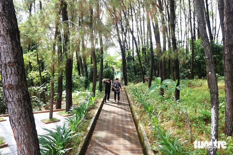 Khu tưởng niệm thân mẫu Bác Hồ giữa rừng thông rì rào xứ Huế- Ảnh 5. Lối vào khu tưởng niệm rợp bóng cây xanh