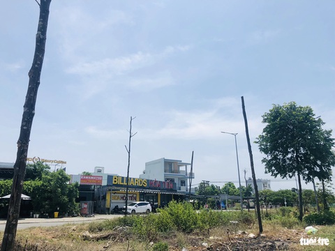 Cây xanh trụi lá, chết khô trên đường trăm tỉ: Trách nhiệm của ai?- Ảnh 1. Cây xanh trên đường Hòa Phước - Hòa Khương trưa 19-5 - Ảnh: ĐOÀN CƯỜNG