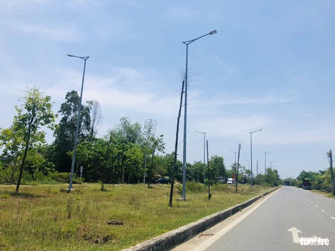 Cây xanh trụi lá, chết khô trên đường trăm tỉ: Trách nhiệm của ai?- Ảnh 2. Cây xanh trên tuyến đường sau nhiều năm đưa vào sử dụng - Ảnh: ĐOÀN CƯỜNG