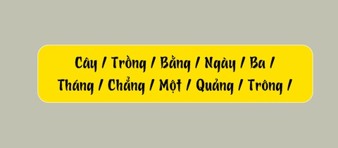 Thử tài tiếng Việt: Sắp xếp các từ sau thành câu có nghĩa (P97)- Ảnh 3. Thử tài tiếng Việt: Sắp xếp các từ sau thành câu có nghĩa (P97)- Ảnh 3.